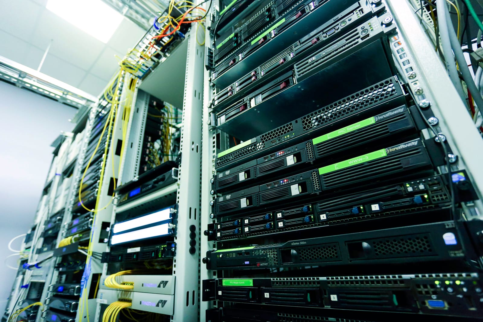 Network equipment mounted in a server rack
