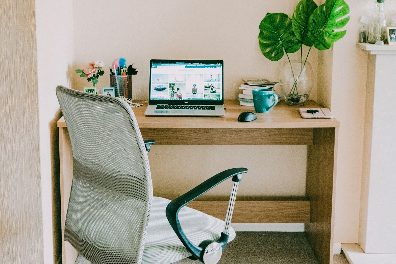 Laptop, desk, and plants in a home workspace
